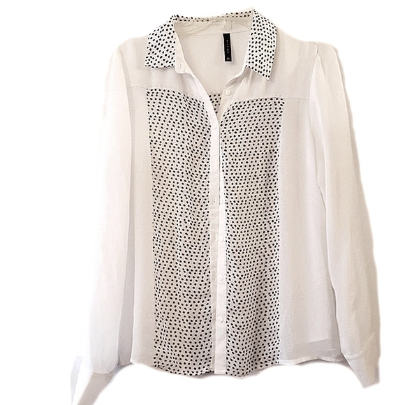 Spotted Cream Button Down by Eric & Lani - Picture 1 of 3